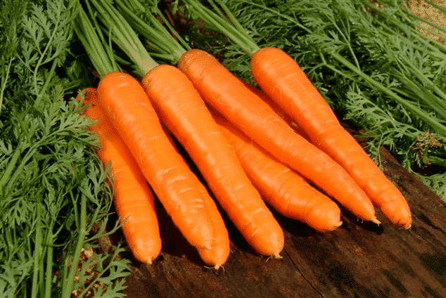 胡萝卜是一种流行的治疗男性功效的民间药物。